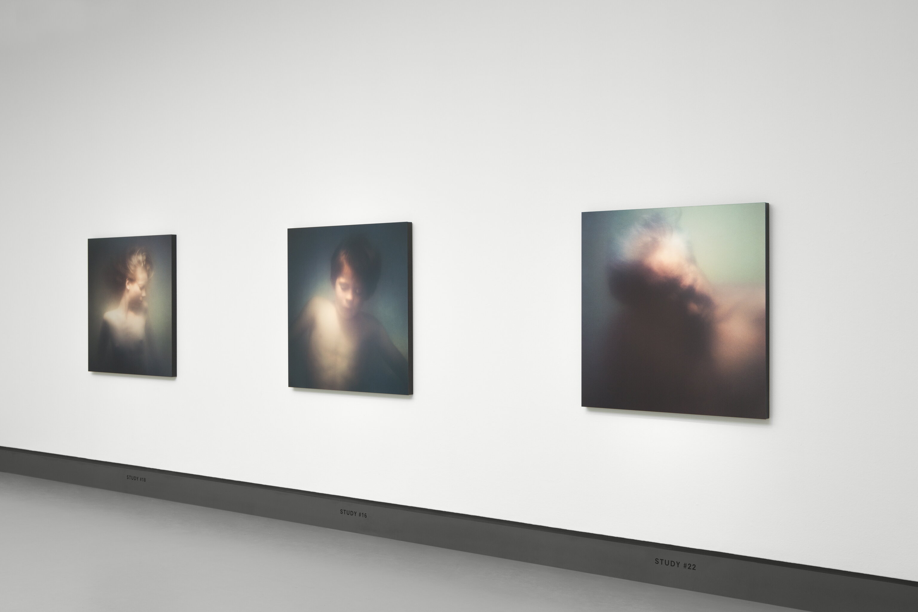 Desiree Dolron - installation view